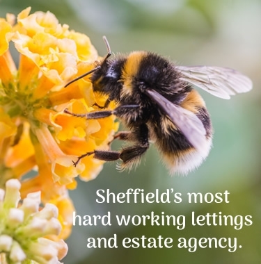 Let your property