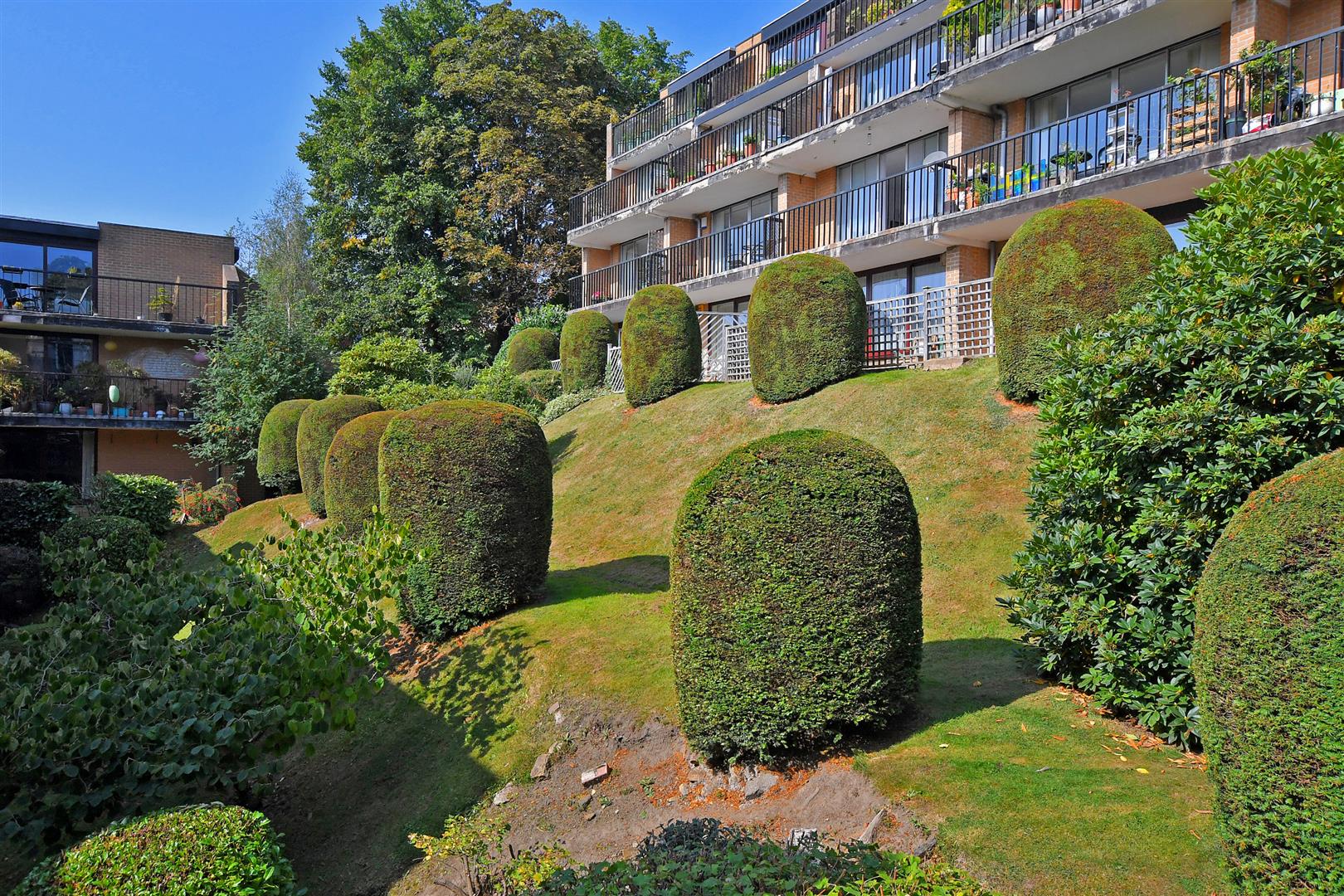 Exterior 3.jpg